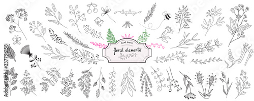 Hand drawn collection of rustic and floral design elements. Tree branches, flowers, plants and leaves ink silhouettes. Isolated vector on white background
