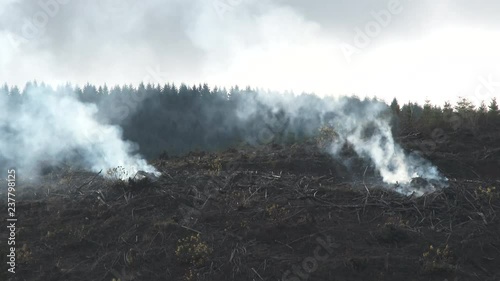 Two large piles of brush burning after clearcut in Washington State forest. photo