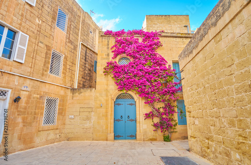 The stone house with climbing bougainvillea bush, Mdina fortress, Malta