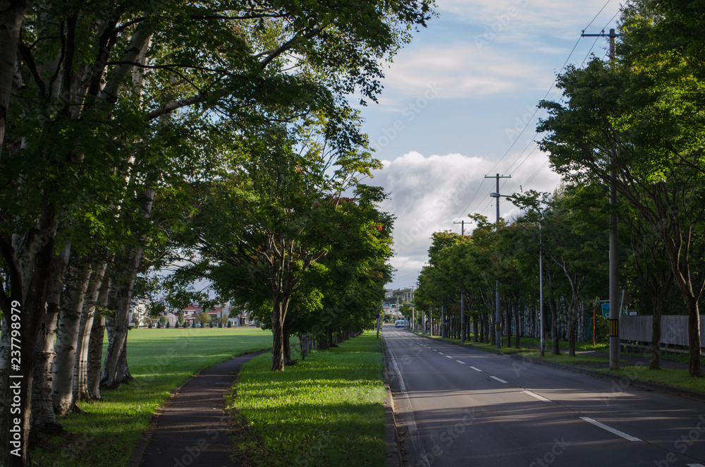 公園の風景 公園の風景