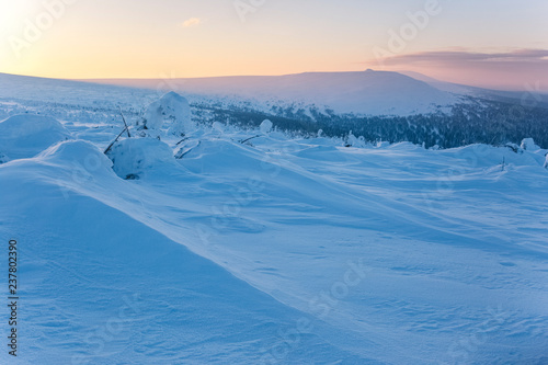  Frost on the Northern Ural mountains, Komi Republic, Russia