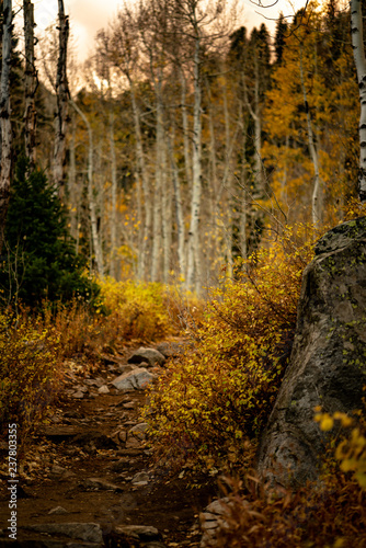 Fall Trails