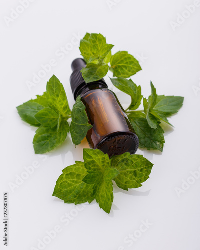 essential oil of peppermint on a white background