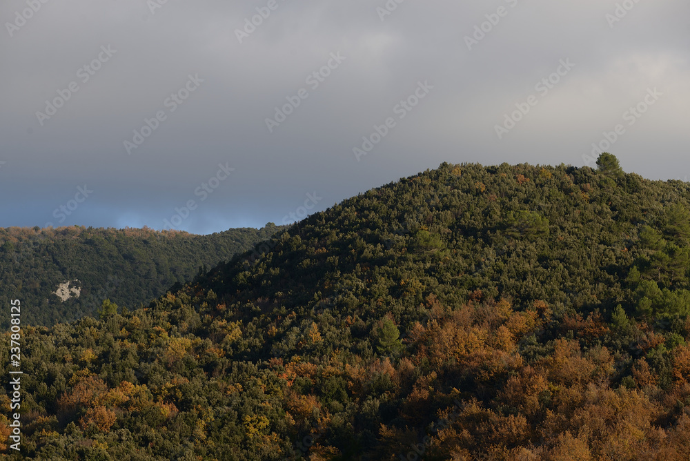 Fototapeta premium Autunno Montagne umbre