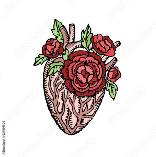 Blooming human heart. Red roses.
