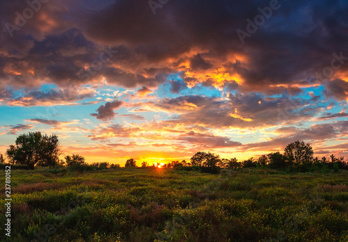 Summer cloudy sunset over the steppe lower field. Steppe flower land and bright sunset.