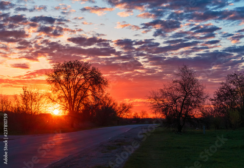 A sunrise sky over the country road. Trees alley on the epic sky background. A Summer season morning bright sunshine.
