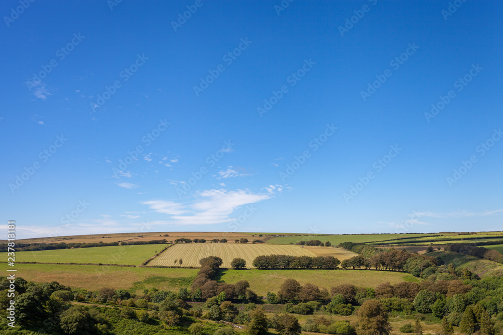countryside view, Devon, UK