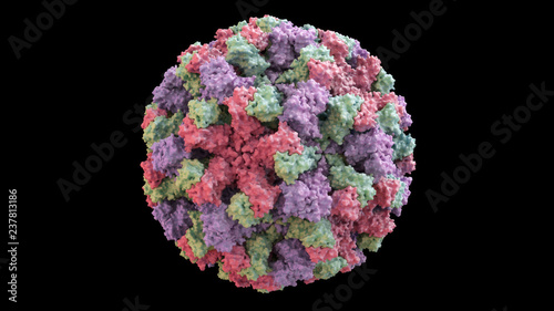 3D CG rendered image of scientifically accurate Norwalk Virus (Norovirus) Capsid Structure based on PDB : 1IHM (surface style) photo