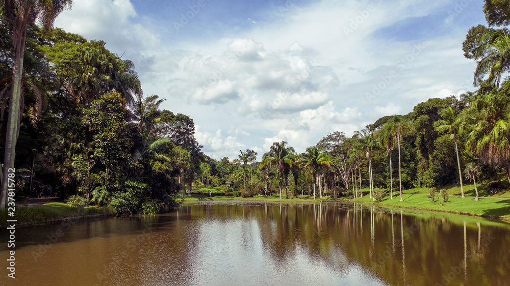Lake of the Nymphs (Lago das Ninféias), in Sao Paulo's Botanical Garden, Brazil