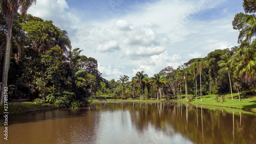 Lake of the Nymphs (Lago das Ninféias), in Sao Paulo's Botanical Garden, Brazil