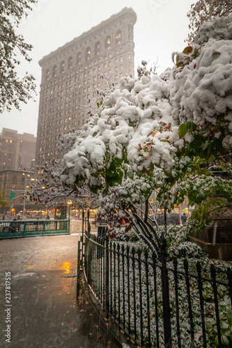 Madison Square Garden