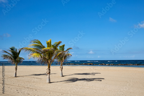 Pristine Caribbean beach with palm trees   © yobab