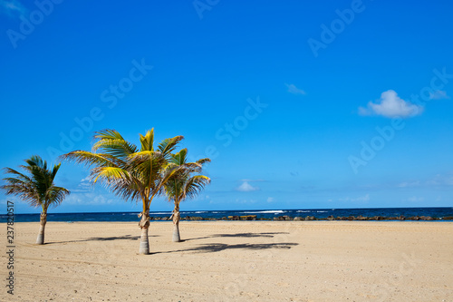Pristine Caribbean beach with palm trees   © yobab