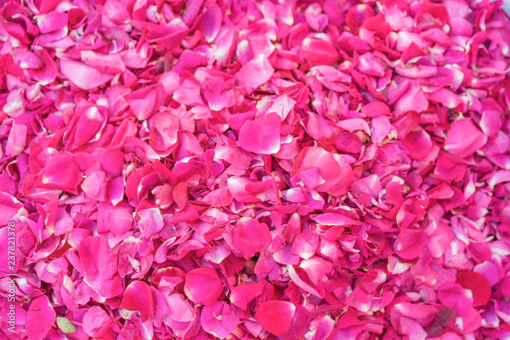 Sprinkled fresh rose petals