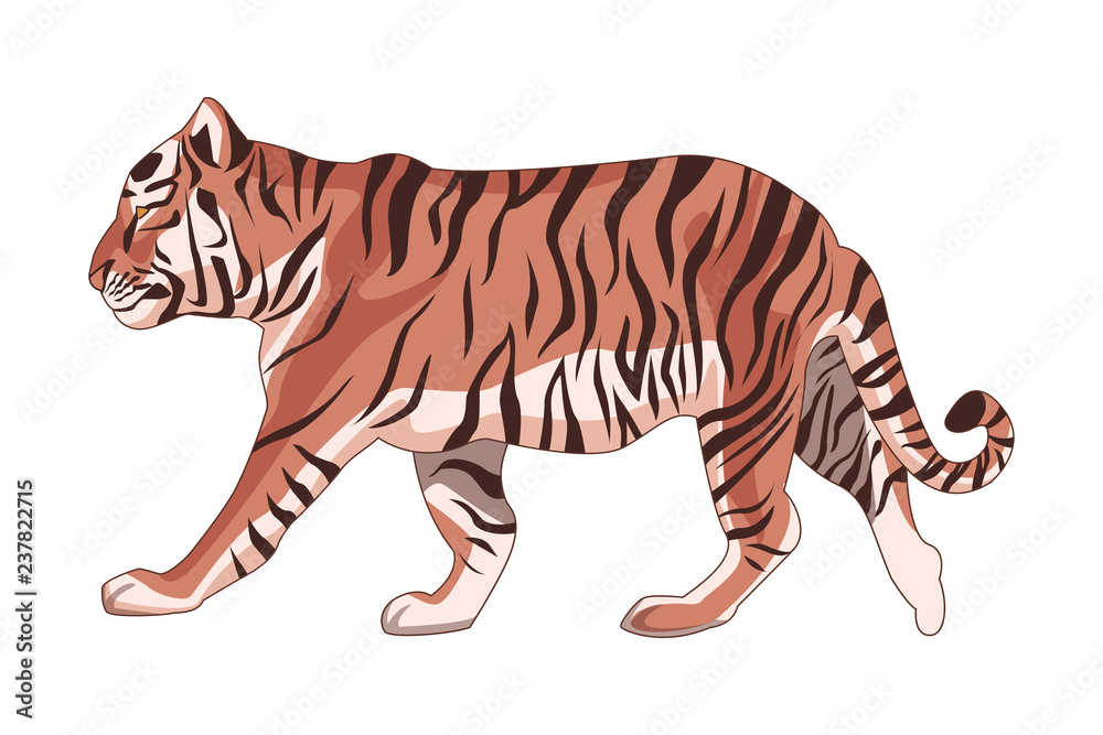Obraz premium wild tiger cartoon