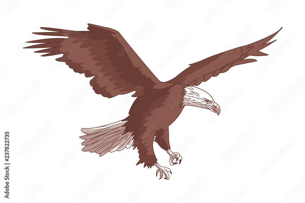 Obraz premium wild eagle cartoon