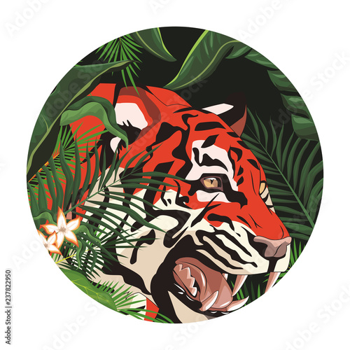 wild tiger face  cartoon