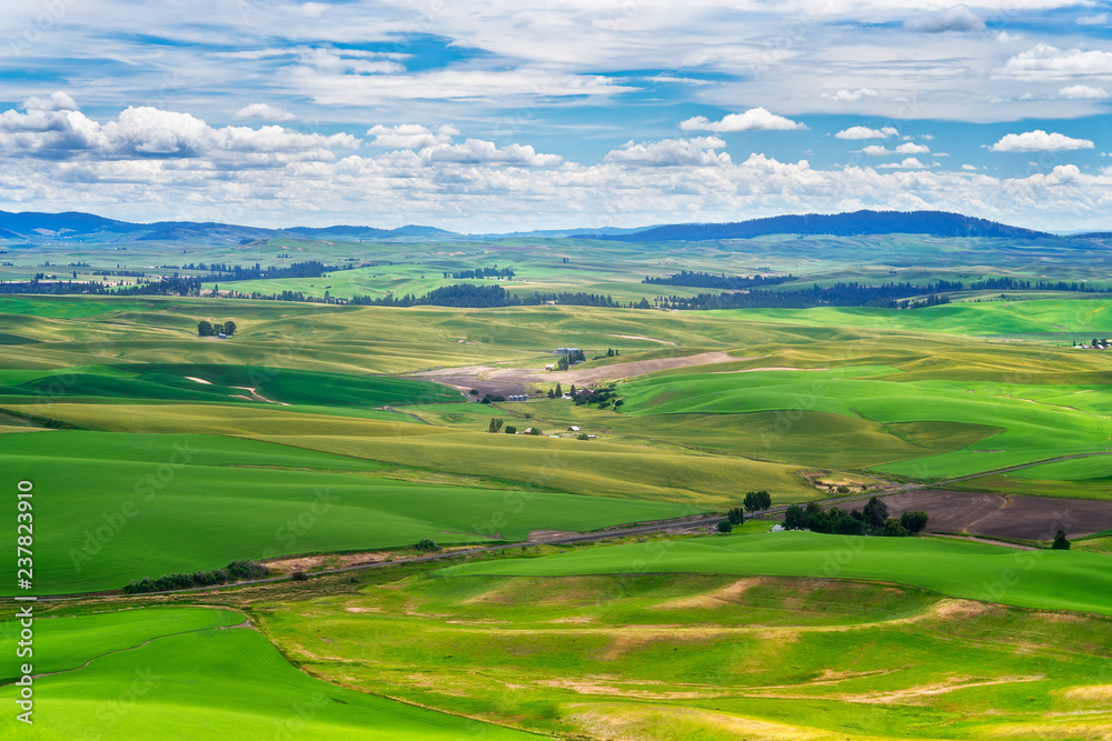 Palouse Region of Washington