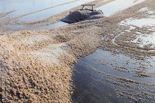 Canvastavla Salt production equipment