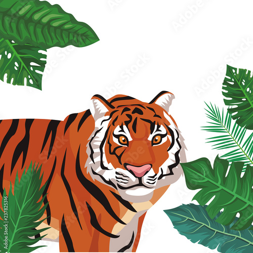 wild tiger cartoon