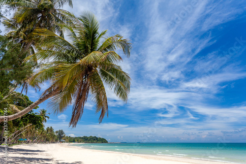 Beautiful tropical beach sea and ocean with coconut palm tree