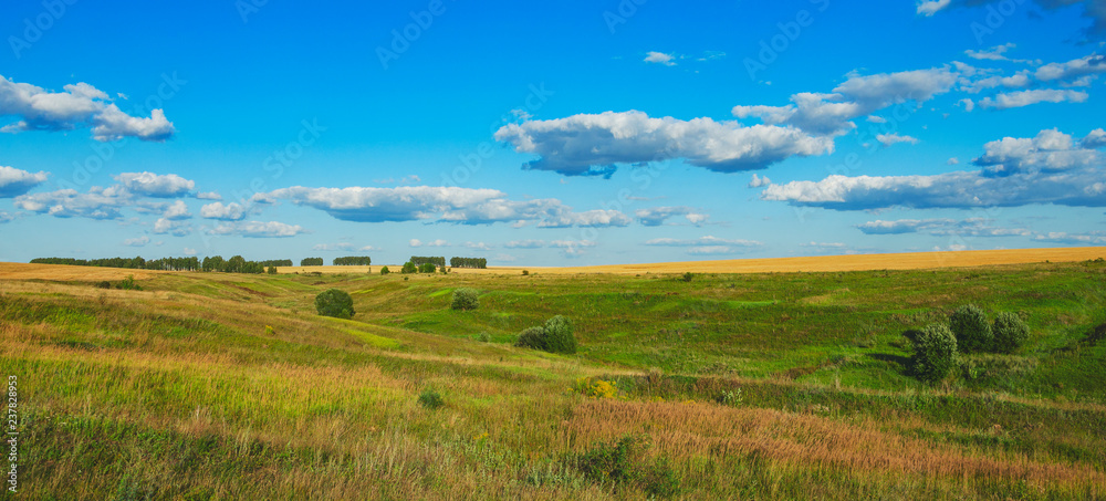 Summertime.Beautiful panoramic view of green meadows,hills,golden wheat fields and distant woods at sunset.Beautiful clouds in blue sky.Summer country landscape.