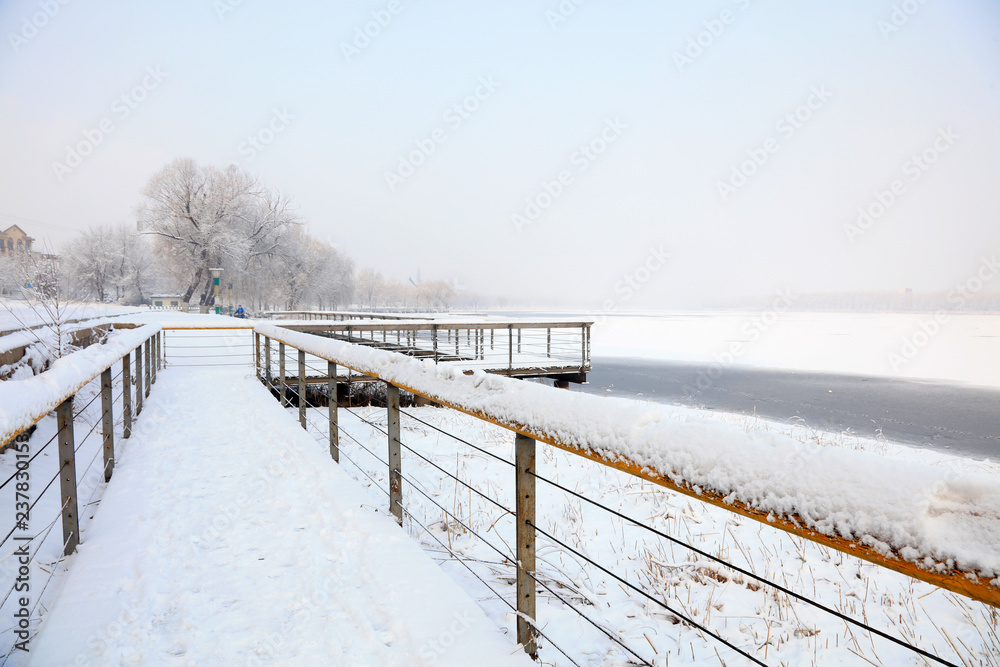 Obraz premium park gauntree snow scene