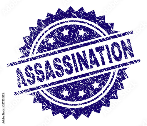 ASSASSINATION stamp seal watermark with distress style. Blue vector rubber print of ASSASSINATION caption with corroded texture.