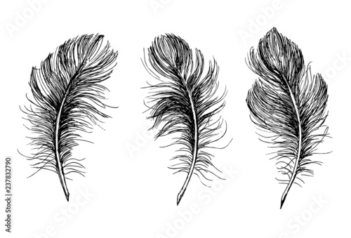 Feather Pattern hand drawn