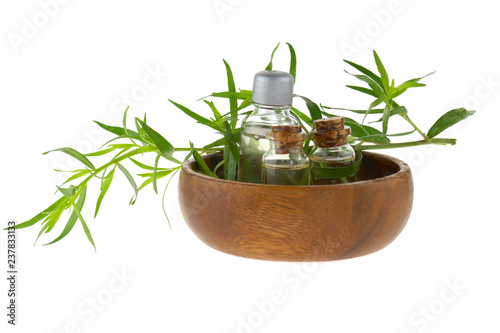 Bild auf Leinwand Tarragon essential oil set in glass bottles and fresh green twigs of tarragon in