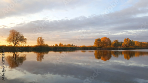 Evening on the forest lake