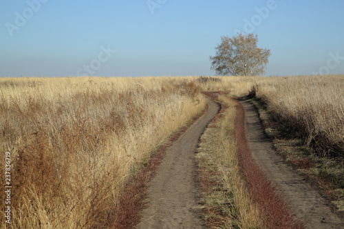 Altai Krai