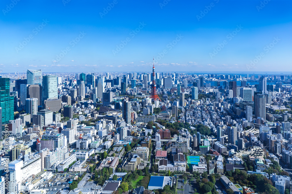 (東京都ｰ都市風景)展望台から見る東京湾側風景４