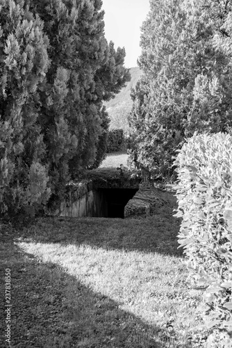 Rocca d'Olgisio photo