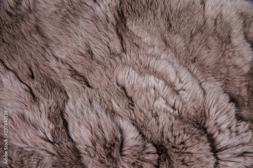 Texture of light brown fur.