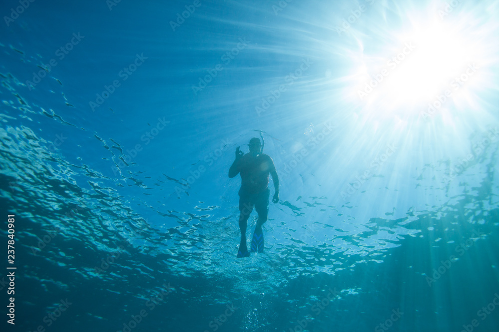 Silhouette of a snorkeler in clear blue Hawaii water from below