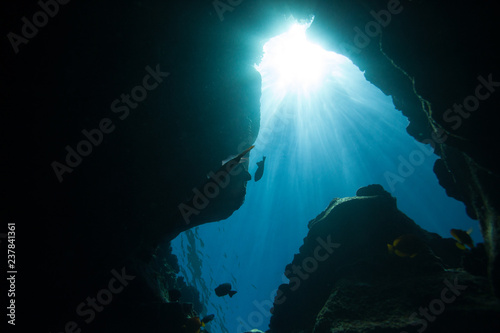 Photo taken while freediving into an underwater cave and looking up towards the brilliant sunlight filtering down through the blue Hawaiian water