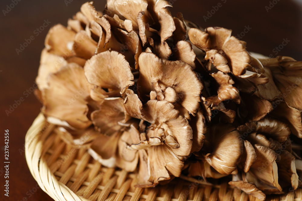 マイタケ Stock Photo Adobe Stock