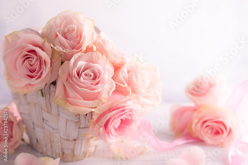 Beautiful pink roses