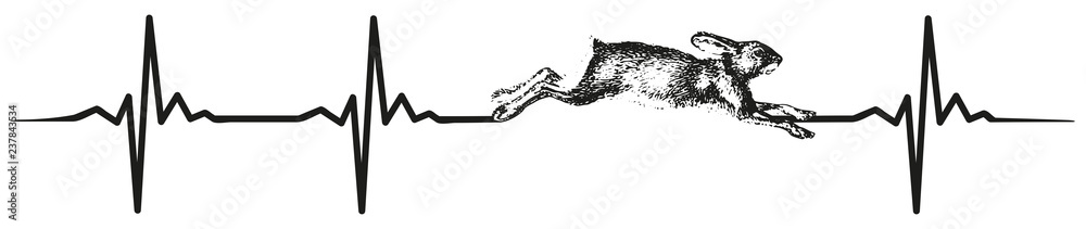 Naklejka premium rabbit heartbeat #isoliert #vektor - Hase Herzschlag