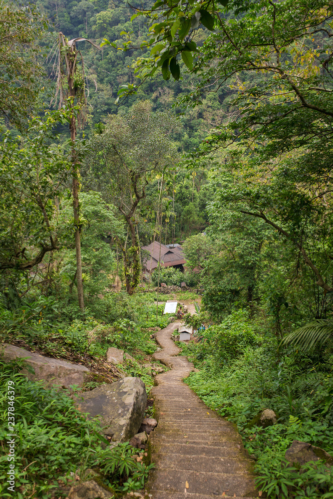 Staircase down the hill in a tropical forest. Way to Nongriat village with famous living root bridges in Meghalaya state, India Staircase down the hill in a tropical forest. Way to Nongriat village with famous living root bridges in Meghalaya state, India