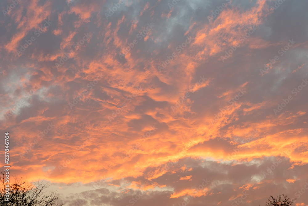 Fototapeta premium view of sky and cloud in the time sunset