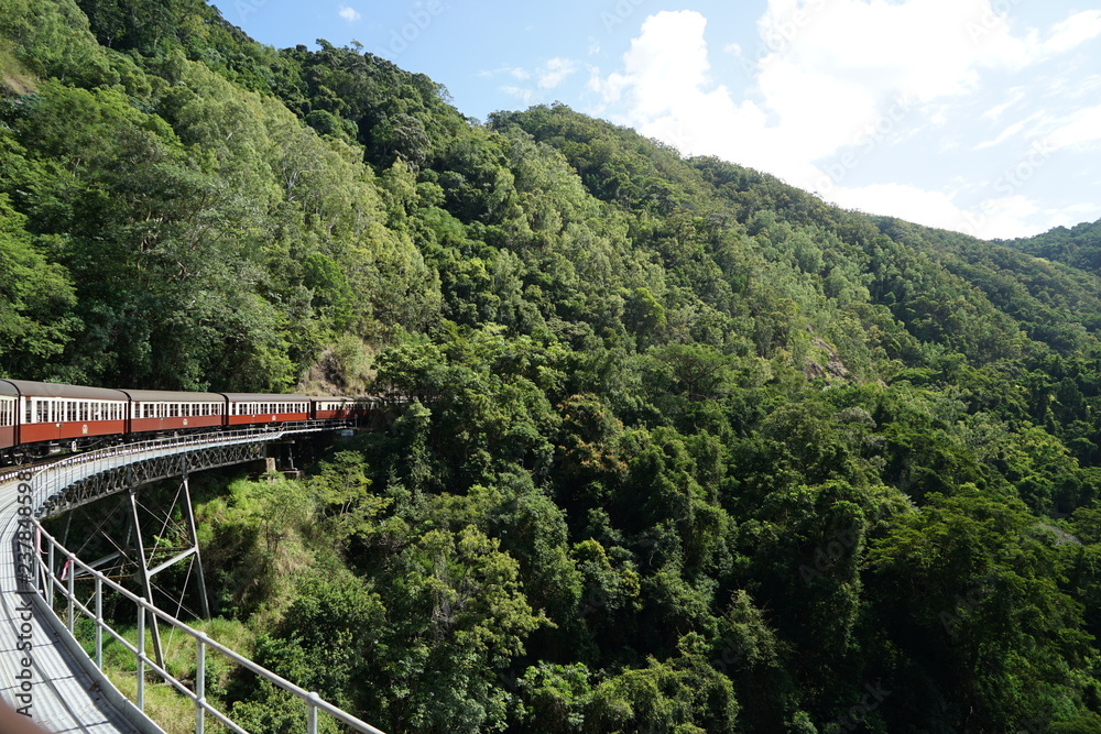キュランダ　熱帯　雨林　シーニックレールウェイ　鉄道　鉄橋　崖