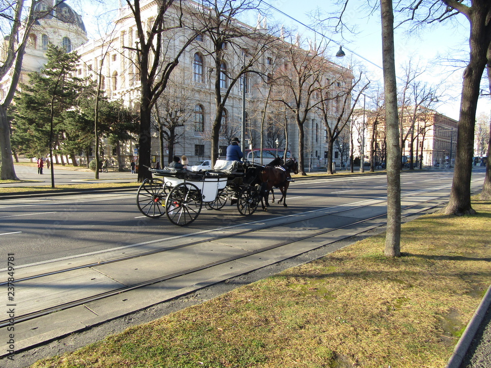 Wagon in Vienna