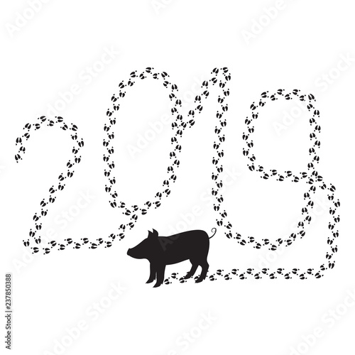 2019 of a pig.