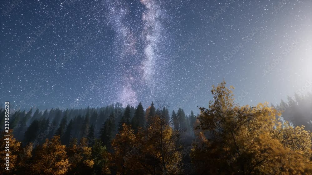 Milky Way stars with moonlight above pine trees forest