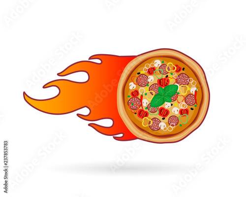 Pizza delivery icon. Isolated on white background. Delivery concept. Vector illustration. Flat design.