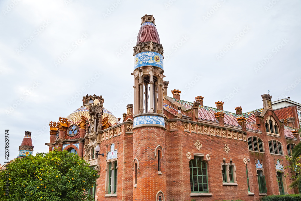 Hospital de Sant Pau Hospital de Sant Pau