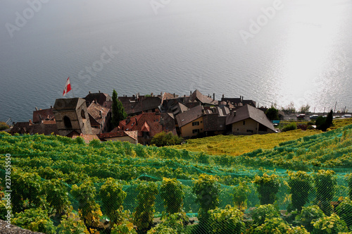 St. Saphorin: The wine yards and terraces Lavaux at the Unesco World Heritage photo